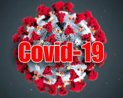 Covid 19
